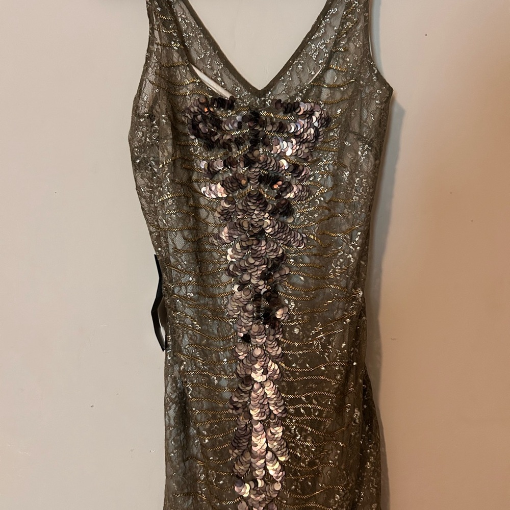 Bebe Gold and Silver Lace Dress